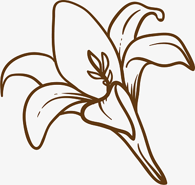 手绘风格黑白百合花