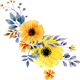 唯美水彩花卉鲜花