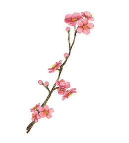 一枝桃花