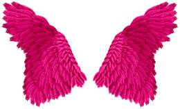 漂亮的粉红色羽毛翅膀