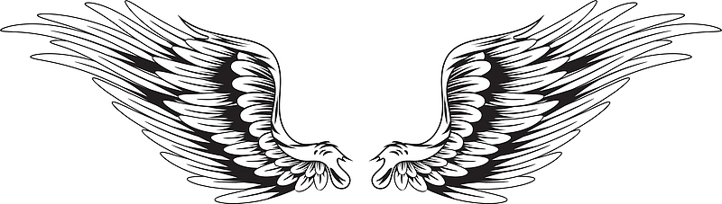 黑白交替的矢量羽翼