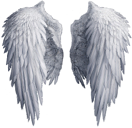 卡通手绘美丽的翅膀