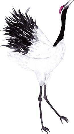 卡通手绘白色的鹤