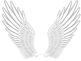 白色大型矢量卡通翅膀