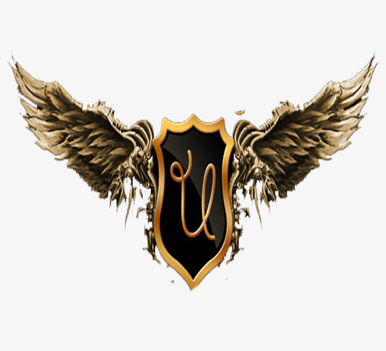 金黄色翅膀徽章