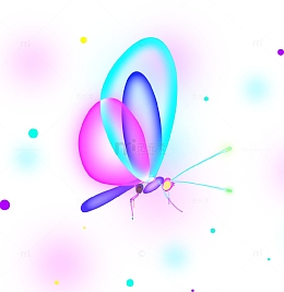 唯美星空幻想流体渐变飞蛾