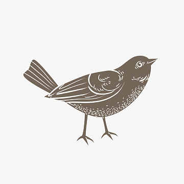 鸟类黑白简笔画