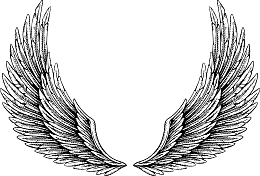 羽翼