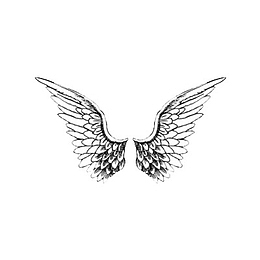 黑白手绘翅膀