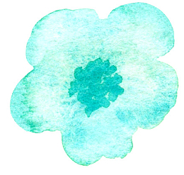 青绿色蝴蝶结