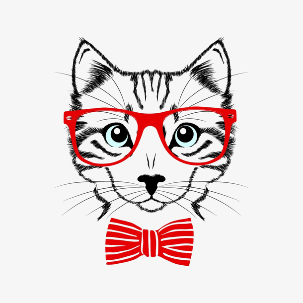 带眼镜的猫咪