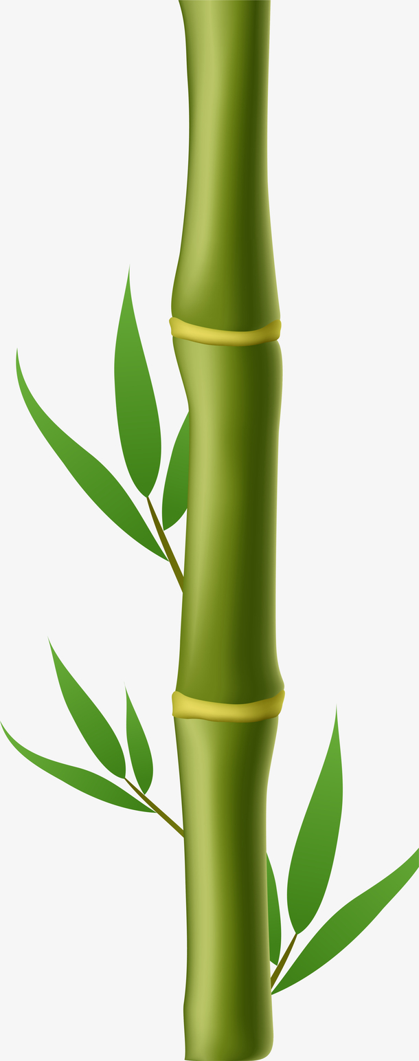 卡通绿色竹子