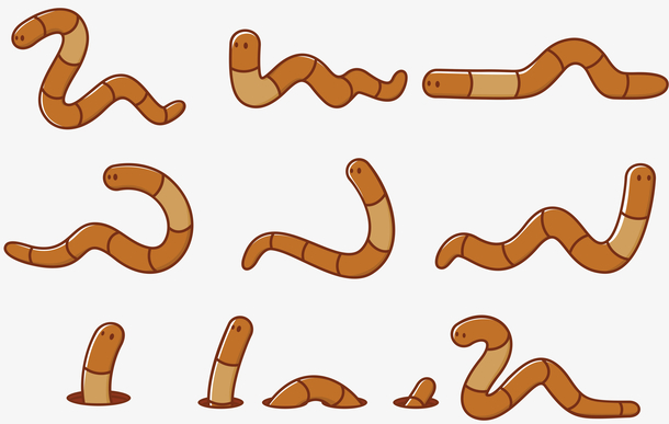 卡通小蚯蚓
