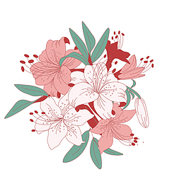 红粉色花瓣绽放的杜鹃花瓣矢量