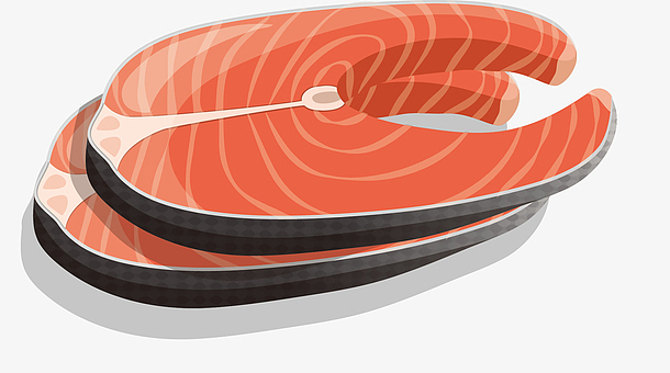 矢量手绘鱼肉