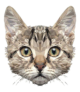 几何拼接猫