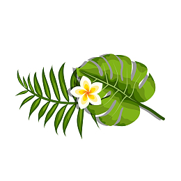 夏季手绘叶子植物