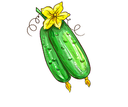 矢量卡通手绘嫩丝瓜png