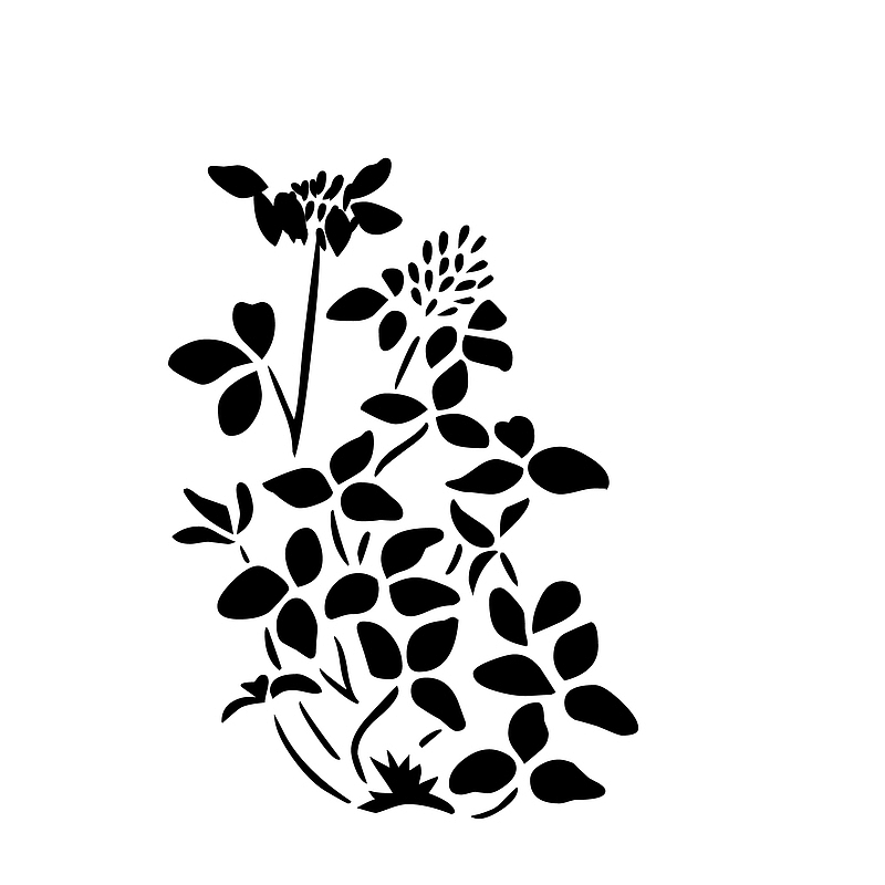 黑白创意手绘花卉装饰矢量图