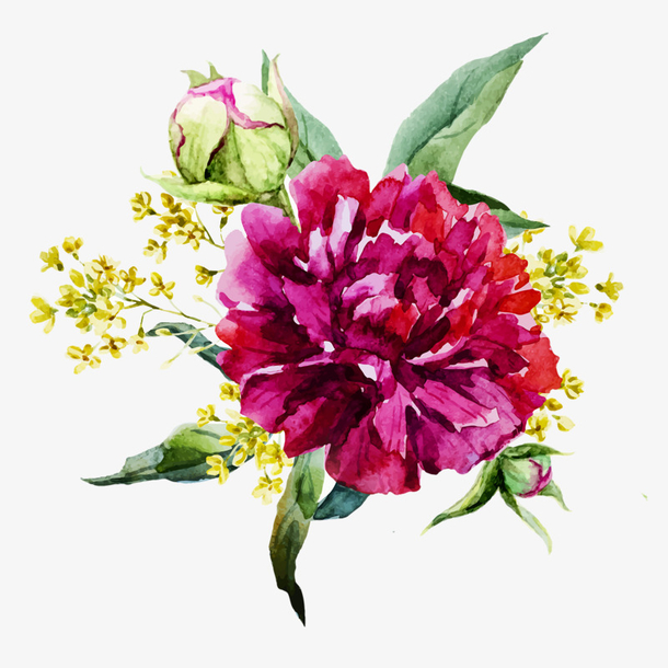 漂亮红色手绘花