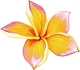 手绘鲜花设计素材