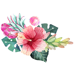 水彩绘扶桑花花环矢量