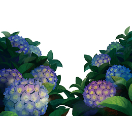 矢量绣球花
