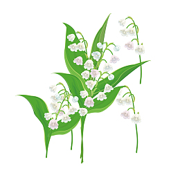 手绘长春花矢量素材