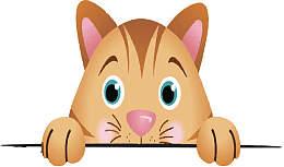 偷偷躲起来的小猫