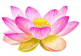 手绘创意莲花海报