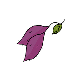 卡通紫色红薯美味营养插画免抠