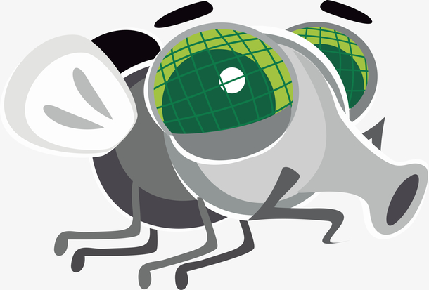 卡通苍蝇png下载