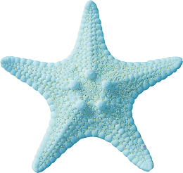 蓝色漂亮海星