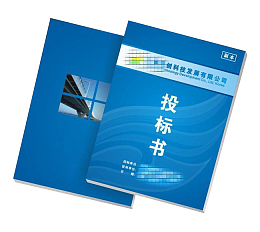 标书图片