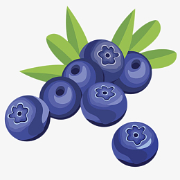 卡通手绘带叶子野生蓝莓