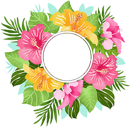 矢量鸡冠花的横幅