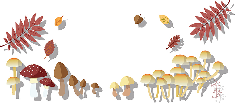秋天成熟的蘑菇
