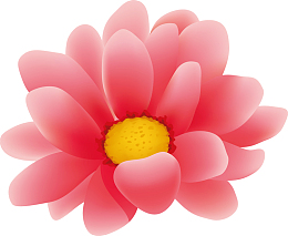 红花坂上的海横幅大红花