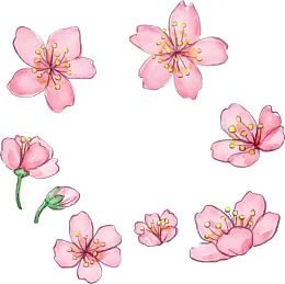 粉红浪漫樱花花纹