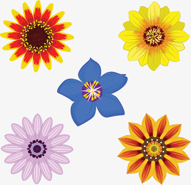 五朵春天美丽花朵