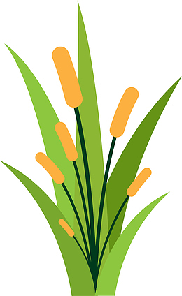 绿色春季卡通芦苇