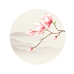 春季踏青春天的花朵