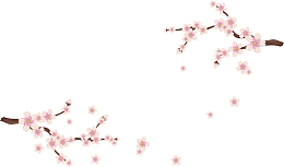 春天飞舞樱花花瓣