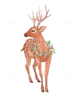 一头梅花鹿手绘插画
