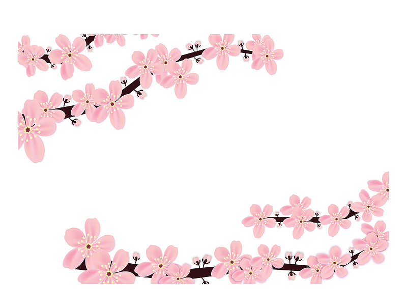 春天精美粉红樱花