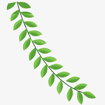 绿色春天树枝素材_绿色春天树枝图片元素-觅元素