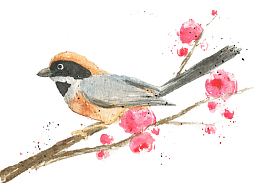 手绘春天小鸟插画素材