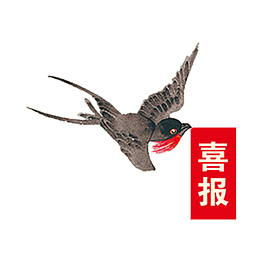 高清喜鹊报喜下载