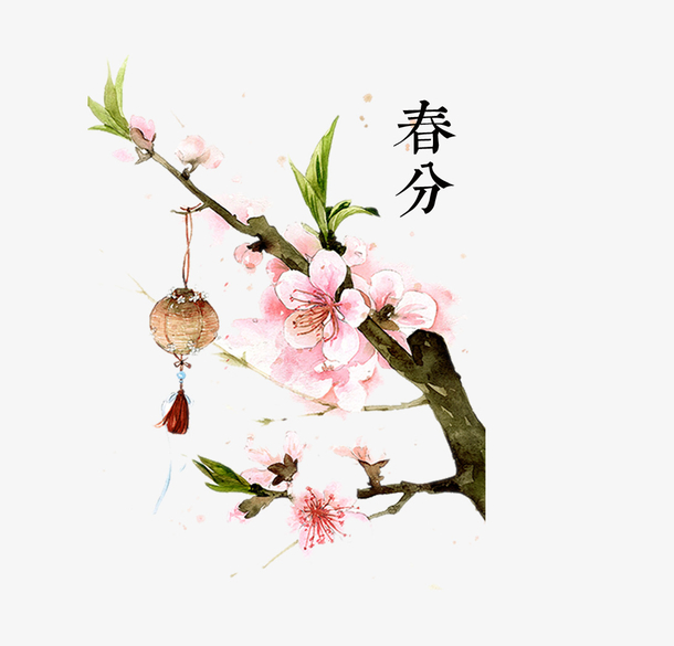 一树桃花之春分节气免抠素材免费下载_觅元素51yuansu.com