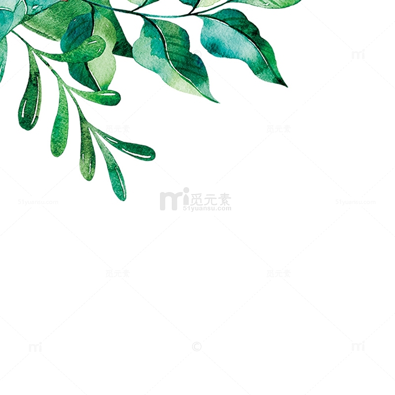 春天的绿色植物水墨画边框插图